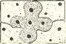 cartolina006