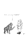 vignetta122