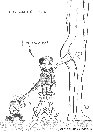 vignetta256