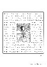 vignetta262