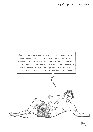 vignetta269