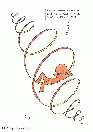 vignetta284
