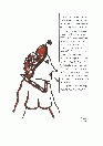 vignetta289