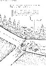 vignetta308