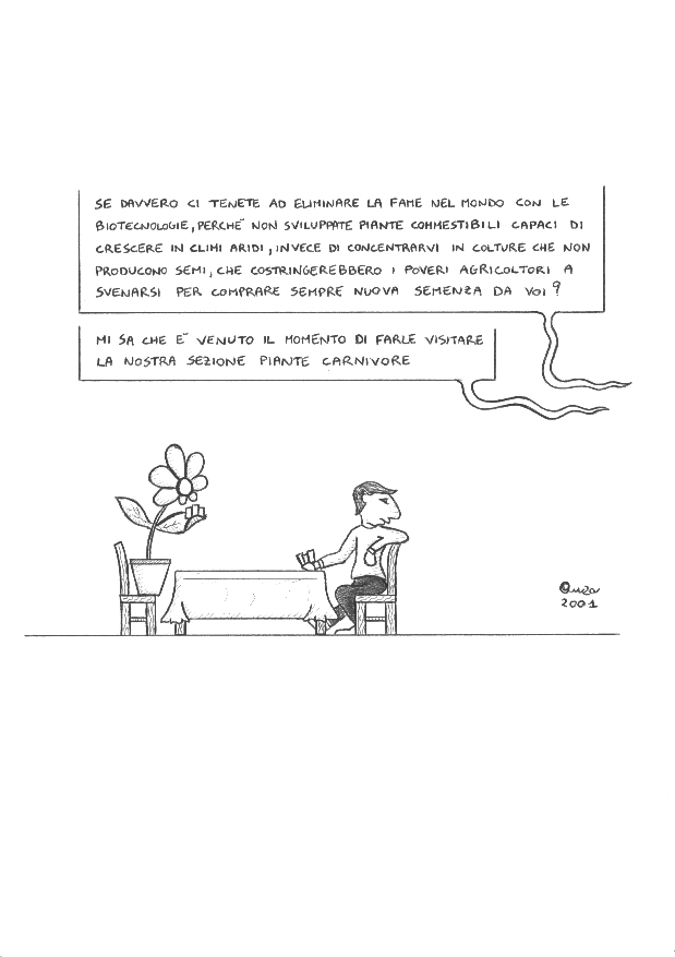 vignetta