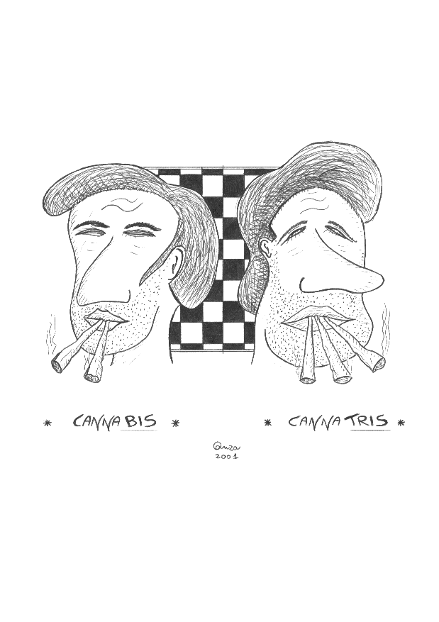 vignetta