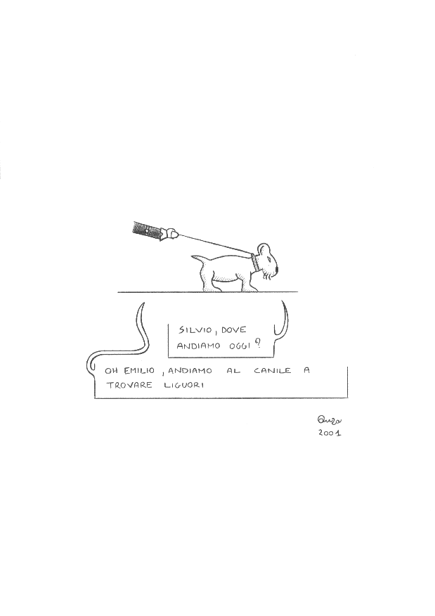 vignetta