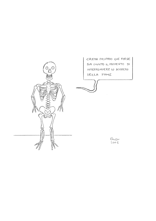vignetta