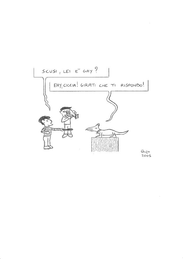 vignetta