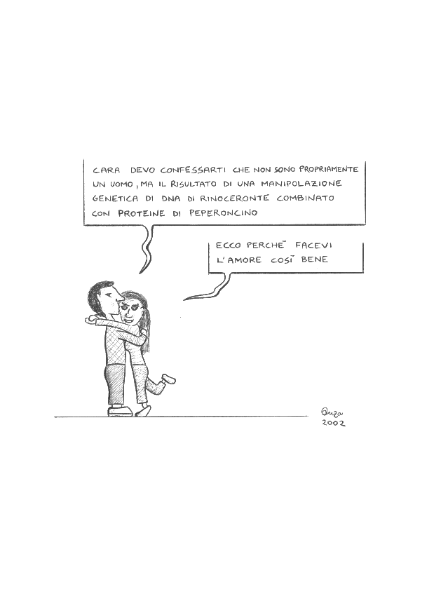 vignetta