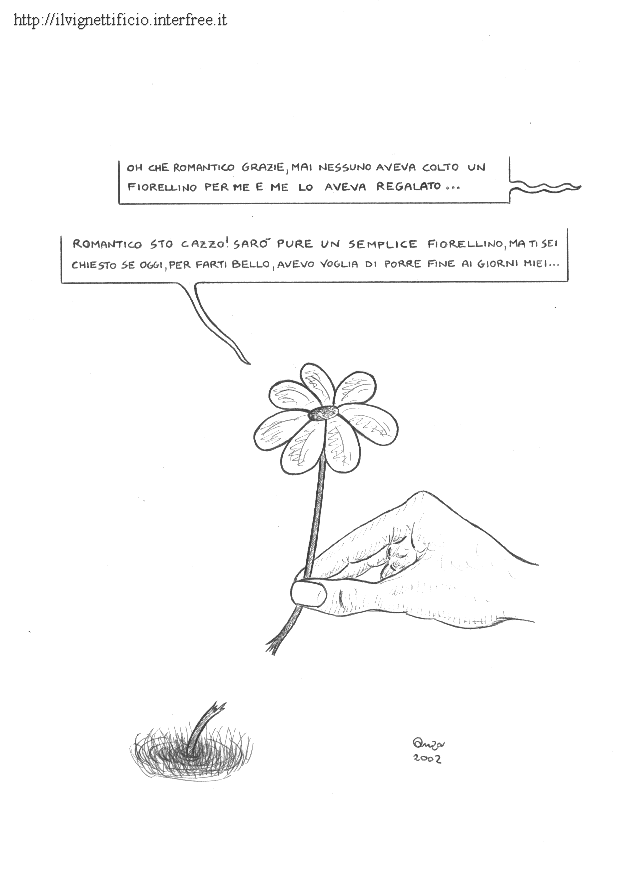 vignetta