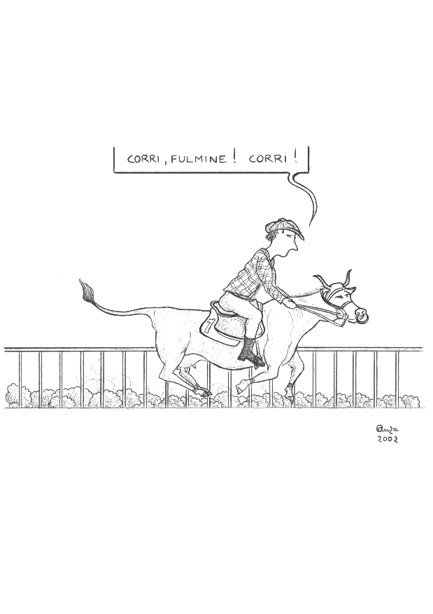 vignetta