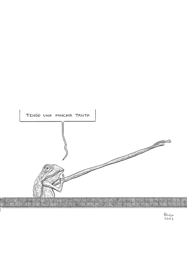 vignetta
