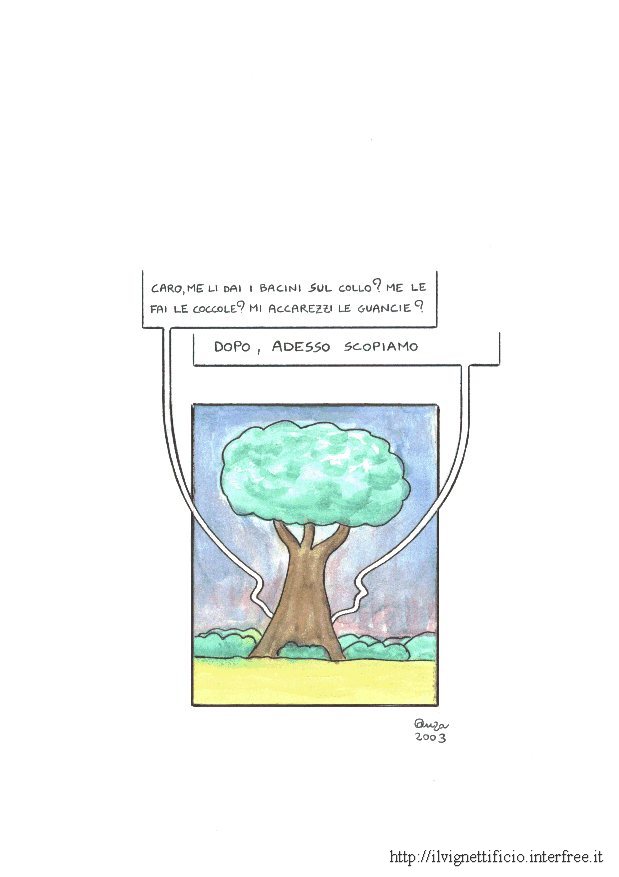 vignetta