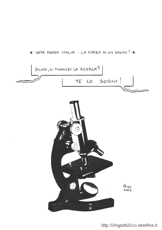 vignetta